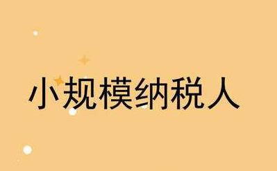 小规模纳税人